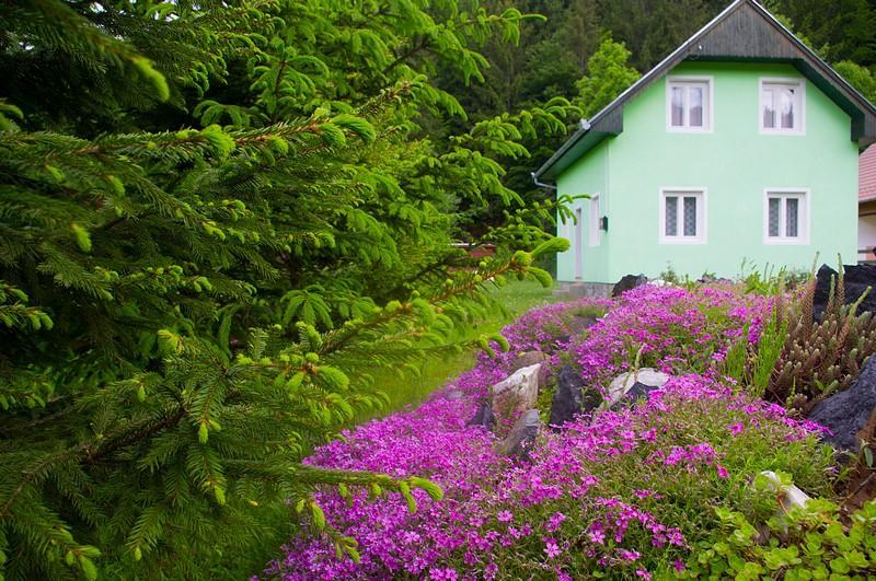 Pataki Kulcsoshaz Villa Izvoare  Bagian luar foto